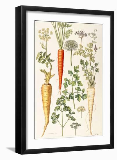 Carrot, Parsnip and Parsley-Elizabeth Rice-Framed Giclee Print