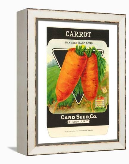 Carrot Seed Packet-null-Framed Stretched Canvas