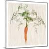 Carrot-Sheldon Lewis-Mounted Art Print