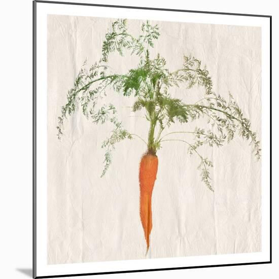 Carrot-Sheldon Lewis-Mounted Art Print