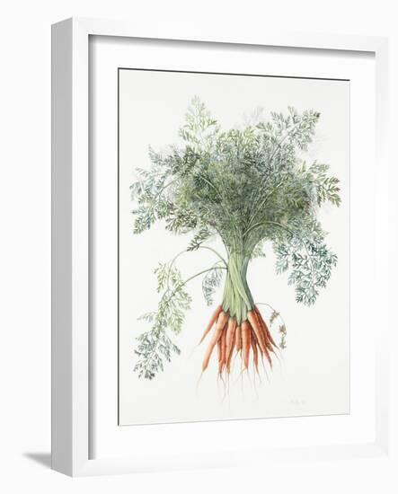 Carrots, 1995-Margaret Ann Eden-Framed Giclee Print