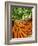 Carrots and Greens, Ferry Building Farmer's Market, San Francisco, California, USA-Inger Hogstrom-Framed Photographic Print