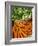 Carrots and Greens, Ferry Building Farmer's Market, San Francisco, California, USA-Inger Hogstrom-Framed Photographic Print