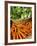 Carrots and Greens, Ferry Building Farmer's Market, San Francisco, California, USA-Inger Hogstrom-Framed Photographic Print