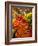 Carrots, Central Market, Malaga, Spain-Walter Bibikow-Framed Photographic Print