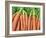 Carrots for Sale at Sunday Morning Market, Pollenca, Tramuntana, Mallorca, Balearic Islands, Spain-Andrew Stewart-Framed Photographic Print