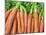 Carrots for Sale at Sunday Morning Market, Pollenca, Tramuntana, Mallorca, Balearic Islands, Spain-Andrew Stewart-Mounted Photographic Print