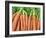 Carrots for Sale at Sunday Morning Market, Pollenca, Tramuntana, Mallorca, Balearic Islands, Spain-Andrew Stewart-Framed Photographic Print