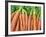 Carrots for Sale at Sunday Morning Market, Pollenca, Tramuntana, Mallorca, Balearic Islands, Spain-Andrew Stewart-Framed Photographic Print