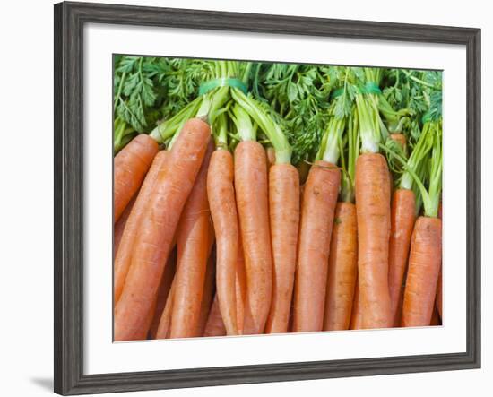 Carrots for Sale at Sunday Morning Market, Pollenca, Tramuntana, Mallorca, Balearic Islands, Spain-Andrew Stewart-Framed Photographic Print