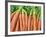 Carrots for Sale at Sunday Morning Market, Pollenca, Tramuntana, Mallorca, Balearic Islands, Spain-Andrew Stewart-Framed Photographic Print