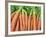 Carrots for Sale at Sunday Morning Market, Pollenca, Tramuntana, Mallorca, Balearic Islands, Spain-Andrew Stewart-Framed Photographic Print