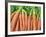 Carrots for Sale at Sunday Morning Market, Pollenca, Tramuntana, Mallorca, Balearic Islands, Spain-Andrew Stewart-Framed Photographic Print