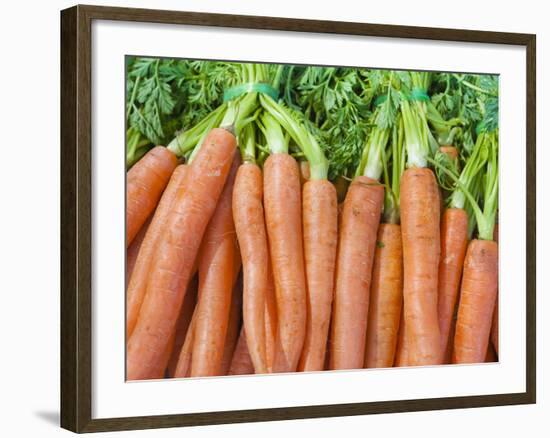 Carrots for Sale at Sunday Morning Market, Pollenca, Tramuntana, Mallorca, Balearic Islands, Spain-Andrew Stewart-Framed Photographic Print