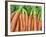 Carrots for Sale at Sunday Morning Market, Pollenca, Tramuntana, Mallorca, Balearic Islands, Spain-Andrew Stewart-Framed Photographic Print