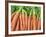 Carrots for Sale at Sunday Morning Market, Pollenca, Tramuntana, Mallorca, Balearic Islands, Spain-Andrew Stewart-Framed Photographic Print