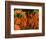 Carrots, Metkovic, Dalmatia, Croatia-Russell Young-Framed Photographic Print