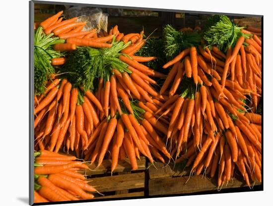 Carrots, Metkovic, Dalmatia, Croatia-Russell Young-Mounted Photographic Print