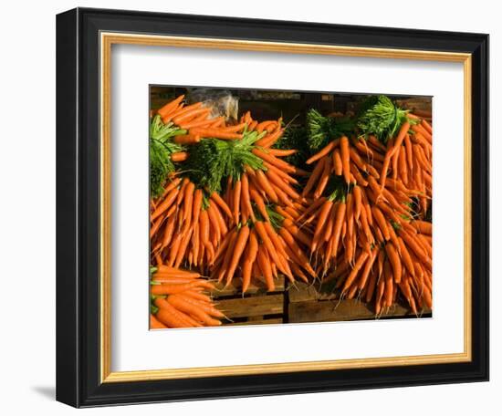 Carrots, Metkovic, Dalmatia, Croatia-Russell Young-Framed Photographic Print