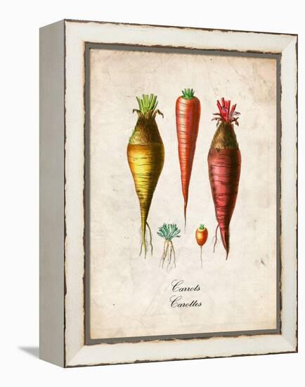 Carrots-null-Framed Stretched Canvas