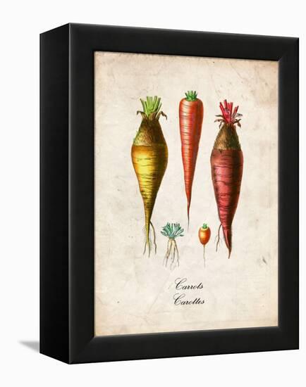 Carrots-null-Framed Stretched Canvas