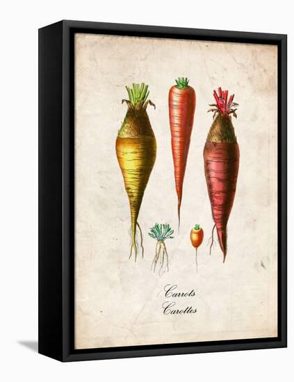 Carrots-null-Framed Stretched Canvas