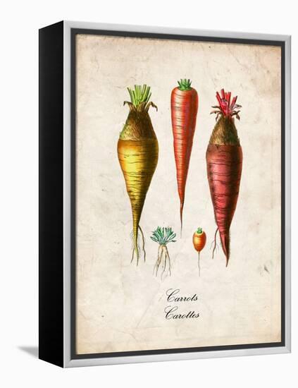 Carrots-null-Framed Stretched Canvas