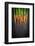 Carrots-Bozena_Fulawka-Framed Photographic Print