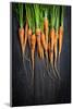 Carrots-Bozena_Fulawka-Mounted Photographic Print