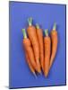 Carrots-Barbara Bonisolli-Mounted Photographic Print