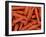 Carrots-null-Framed Photographic Print