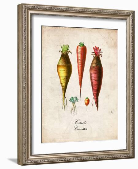 Carrots-null-Framed Art Print