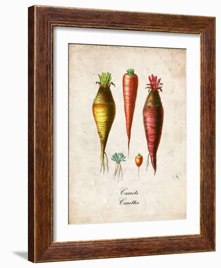 Carrots-null-Framed Art Print