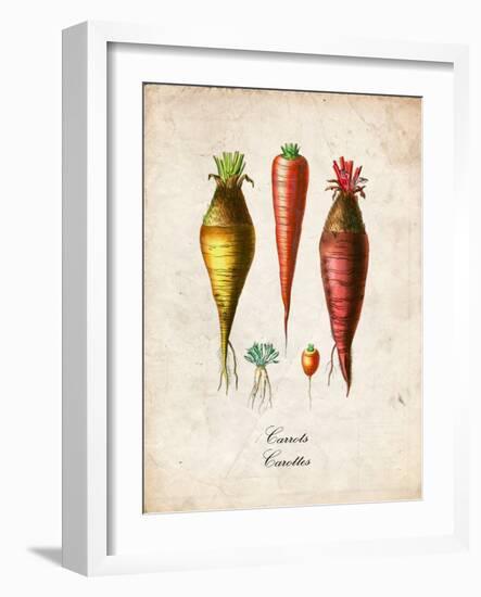 Carrots-null-Framed Art Print