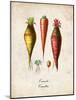 Carrots-null-Mounted Art Print