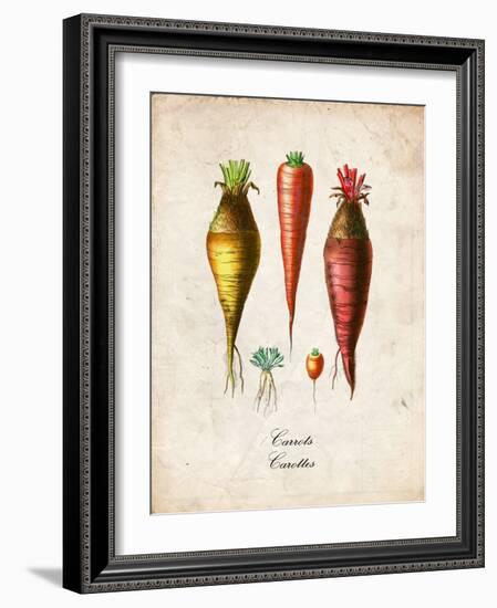 Carrots-null-Framed Art Print