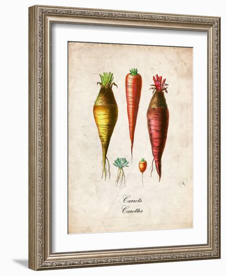 Carrots-null-Framed Premium Giclee Print