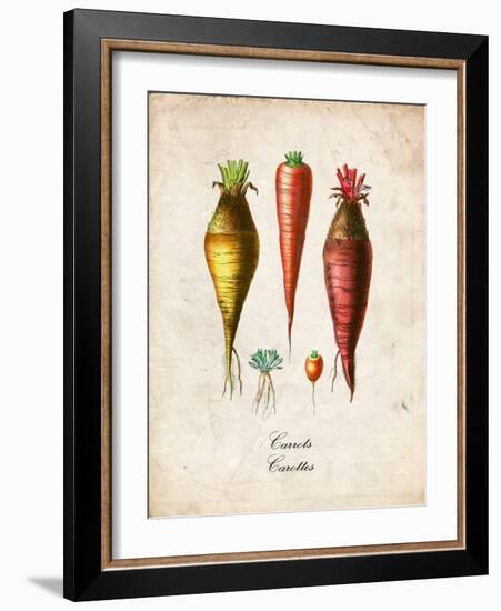 Carrots-null-Framed Premium Giclee Print