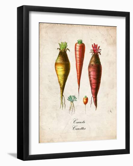 Carrots-null-Framed Premium Giclee Print