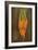 Carrots-Gigi Begin-Framed Giclee Print