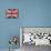 Carry on Union Jack-Sam Appleman-Mounted Art Print displayed on a wall