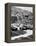 Cars on the Starting Grid, Monaco, 1950S-null-Framed Premier Image Canvas