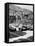 Cars on the Starting Grid, Monaco, 1950S-null-Framed Premier Image Canvas