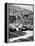 Cars on the Starting Grid, Monaco, 1950S-null-Framed Premier Image Canvas