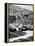 Cars on the Starting Grid, Monaco, 1950S-null-Framed Premier Image Canvas