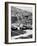 Cars on the Starting Grid, Monaco, 1950S-null-Framed Photographic Print