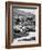 Cars on the Starting Grid, Monaco, 1950S-null-Framed Photographic Print