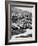 Cars on the Starting Grid, Monaco, 1950S-null-Framed Photographic Print