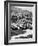 Cars on the Starting Grid, Monaco, 1950S-null-Framed Photographic Print