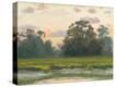 Stretched Canvas Print